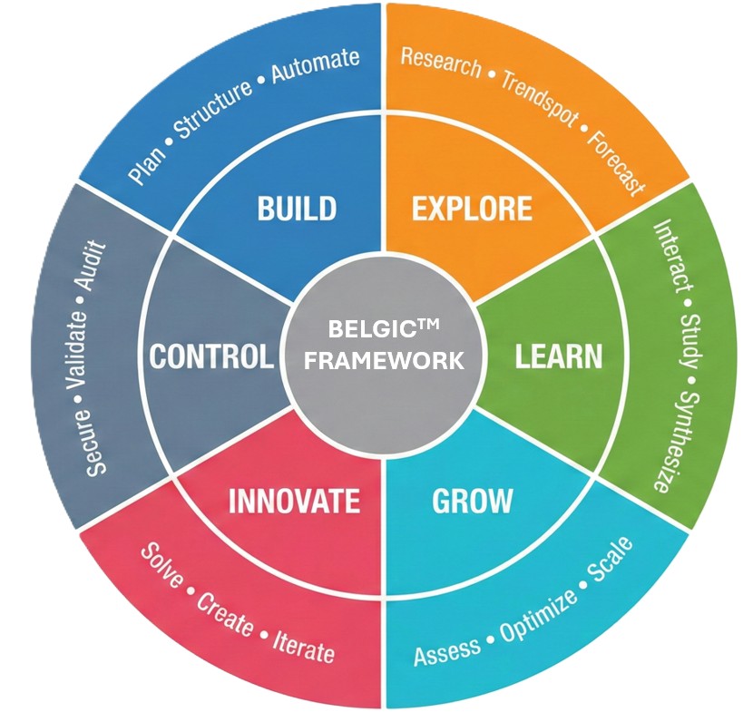 BELGIC Framework Wheel
